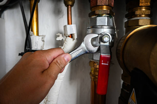 Best Plumbing Inspection Services  in Ferrum, VA